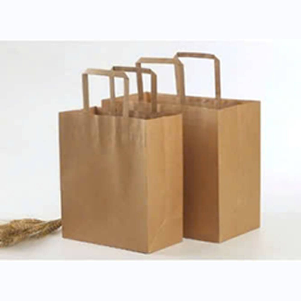 Paper Bag with Flat Handles