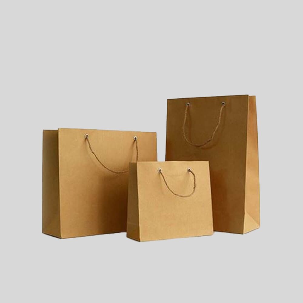 Paper Bag with Twisted Handles