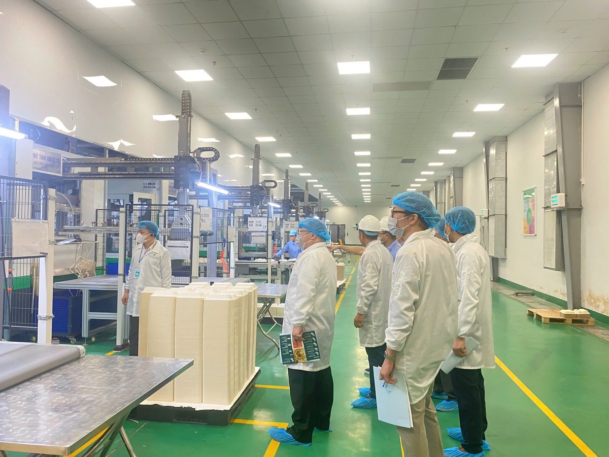 Bagasse Tableware Factory
