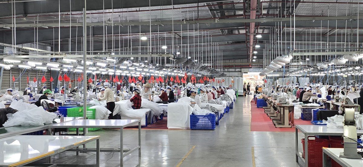 PE Woven, Non-woven & Sheet Factory